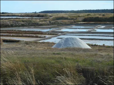 Où avez-vous des chances de trouver ce marais salant ?