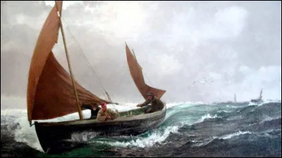 Quels personnages sont des commandants de flotte de Barbe Blanche ?