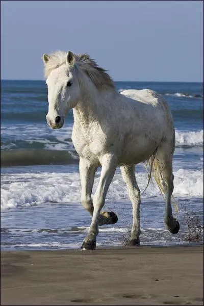 De quel film est extraite cette photo ?