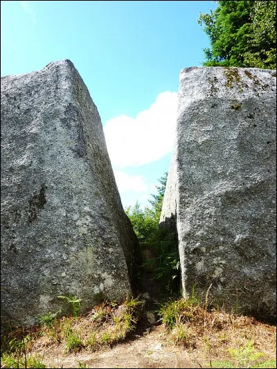 Et ceci, est-ce bien naturel ?