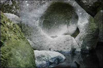 Géants ou pas, l'imagination vous en fera faire, elle, des pas de géants dans la ...