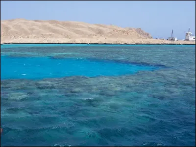 Pourquoi la mer Rouge se fait-elle nommer ainsi ?
