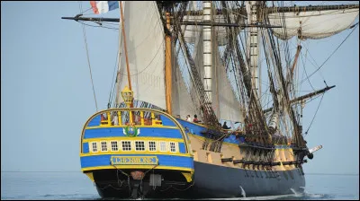 Qu'ont découvert les scientifiques dans les années 1990 ?