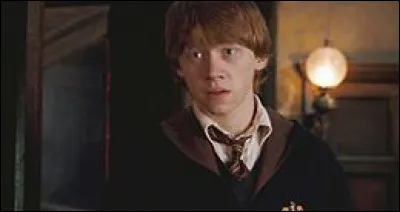 TOP 7 : Ron Weasley (270 pts) : que reproche-t-il à Pattenrond lors de sa 3e année à Poudlard ?