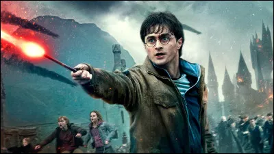 TOP 4 : Harry Potter (312 pts) : lors de la bataille des 
7 Potter, avec qui Harry est-il monté ?