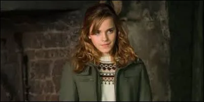 TOP 1 : Hermione Granger ( 482 pts ) : quel est le métier de ses parents moldus ?
