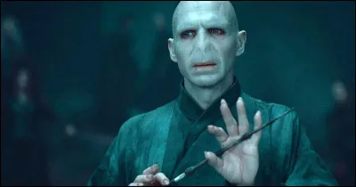TOP 13 : Lord Voldemort (134 pts) : afin d'accomplir la prophétie, Voldemort avait le choix entre 2 personnes à tuer afin que celle-ci s'accomplisse : Harry et...
