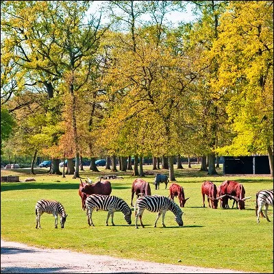 Quel parc zoologique ouvert en 1968 fut le premier zoo fran&ccedil;ais &agrave; accueillir des animaux en semi-libert&eacute; ?