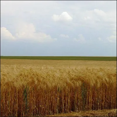 Quelle r&eacute;gion fran&ccedil;aise est traditionnellement appel&eacute;e le "grenier de la France" ?