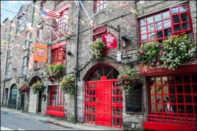 ''On Raglan Road'' : Cette chanson évoque une rue de Dublin. Quel monument se trouve dans cette ville ?