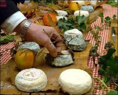 On terminera par une halte gastronomique, et bien sur avec l'un de nos fromages de chèvres tant renommés. Celui-ci fait 10 à 12 cm de diamètre sur 2 a 3 cm de hauteur et affiné sur une feuille de châtaignier où de platane. Il s'agit du ...