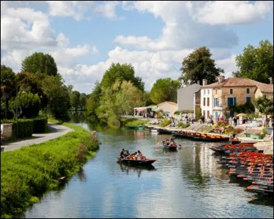 Niort est aussi la porte d'entrée du Marais poitevin. Mais le point de départ pour une balade en barque sur les canaux et les conches, dans la sérénité des arbres têtards se fait dans cette petite cité réputée ...