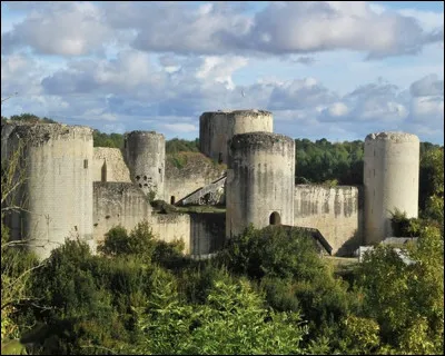 Cet archétype du château fort tel que l'imaginaire collectif se le figure fût érigé au XIIIe siècle aux portes de Niort par les parthenaisiens...