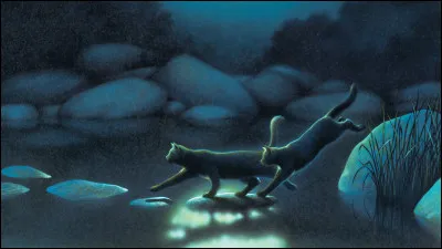 De qui Tonnerre est-il tomb&eacute; amoureux ? (plusieurs r&eacute;ponses possibles)