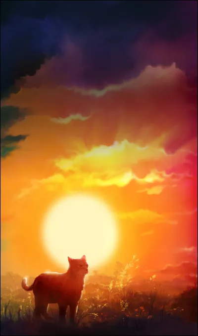 Comment est Fleur d'&Eacute;toile ? (1 r&eacute;ponse)