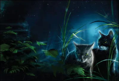 Que fait Foug&egrave;re ? (1 r&eacute;ponse)