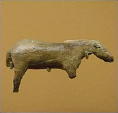 À quand remonte l'occupation par l'homme du site de Lourdes ?