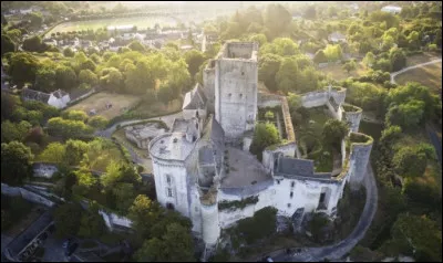 Quel est l'autre nom de la Tour ronde du château de Loches, haute de 25 mètres, à moitié écroulée en 1814 et restaurée par la suite ?
Indice : dit "le Prudent" et également surnommé «Universelle Aragne».