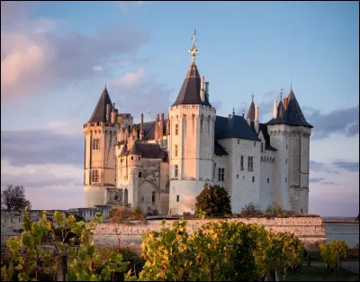 Un petit tour par le Maine-et-Loire avec le château de Saumur. On y trouve un musée des arts décoratifs et un musée du cheval. La ville abrite un corps de cavaliers d'élite français, instructeurs à l'École nationale d'équitation. Quel est le nom de ce corps ?