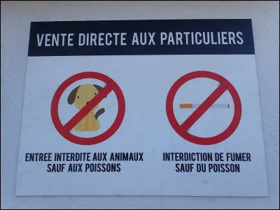 Faisons un petit saut dans le Sud pour visiter Portes Veneres, une petite ville qui à l'époque, ne vivait pas encore du tourisme et du hareng !