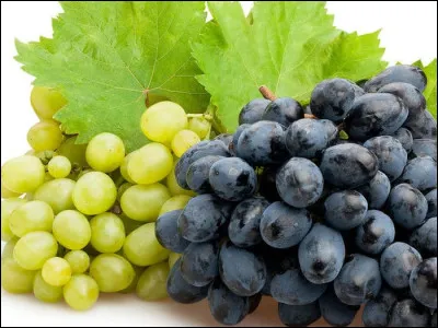 Dès le 4e siècle, des Celtes de Burgondie se rendaient en territoire romain pour y acheter du vin et des ceps de vignes, qu'ils replantèrent à Belna, c'est ainsi que cette ville connut une renommée viticole qui ne se dément pas aujourd'hui !