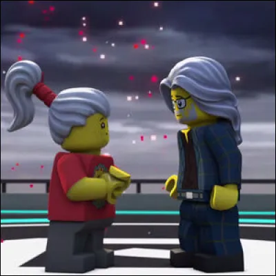 Comment s'appelle le programmeur ?