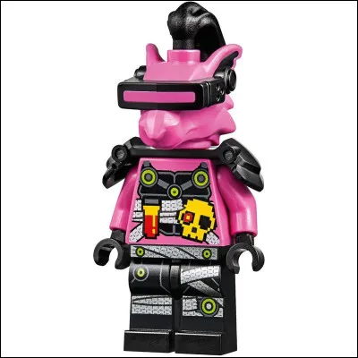 Qui est ce rat mutant ?