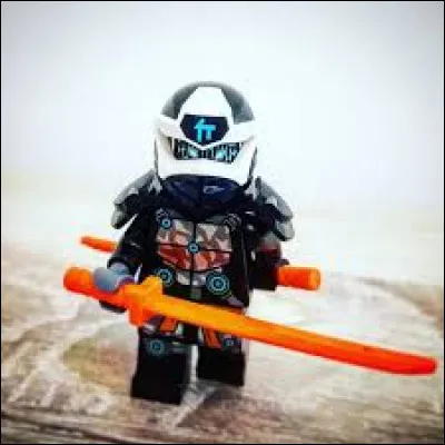 Ce Ninja maîtrise l'élément de la Terre. Qui est-ce ?