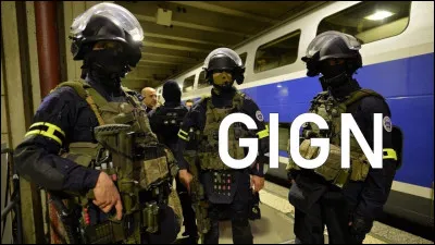 Parmi les suivants, lequel est le titre d'un livre racontant la vie d'un membre du GIGN ?