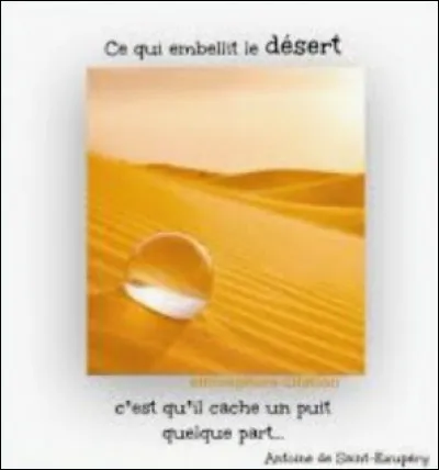 Que sont les Fontaines Salées de Saint Pierre, en Bourgogne-Franche-Comté ?