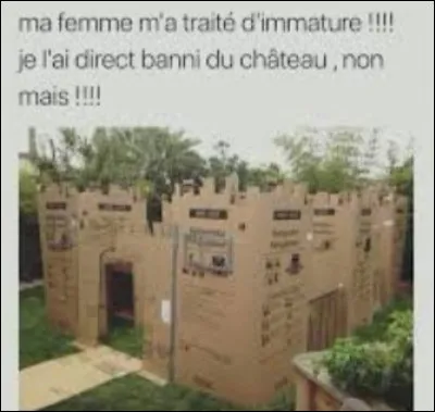 Quelle est la particularité du Château de Chenonceau en Pays de la Loire ?