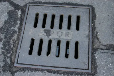 Il est indiscutable, c'est le...