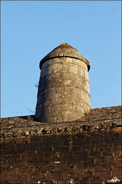 Effraie quand elle est blanche, c'est la...