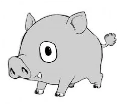 Quel est le nom de cet animal ?