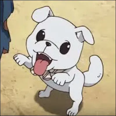 Quel est le nom de cet animal ?