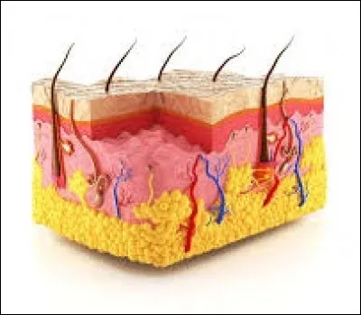 Si vous en avez, vous trouverez la réponse en deux coups...
De quelle préfecture est-il question ?