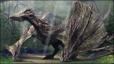 Qu'aiment les dragons ?