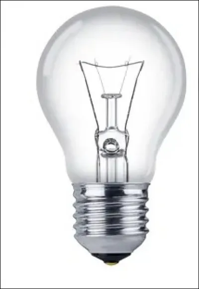 Sur quel animal trouve-t-on les ampoules de Lorenzini ?