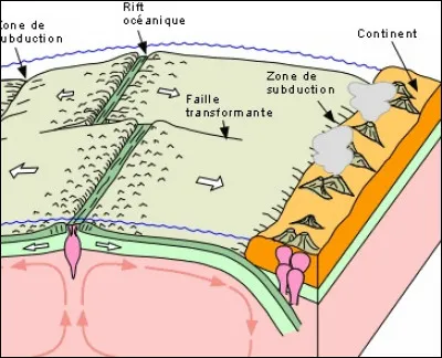 Selon les spécialistes de la tectonique des plaques, dans quelle direction se déplacera l'Afrique du Sud dans les millions d'années à venir ?