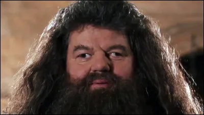 Comment s'appelle le dragon d'Hagrid ?