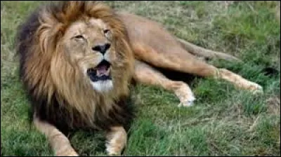 Cochez la ville à l'aide de son homonyme !