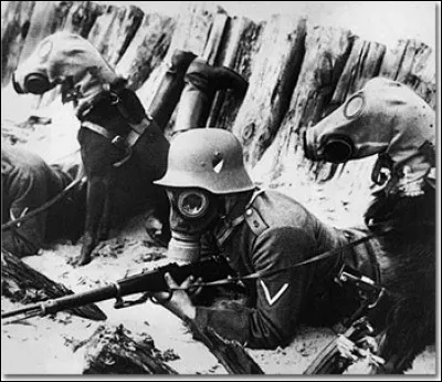 Lorsque l'utilisation du gaz est devenue très récurrente, quels animaux ont eu droit à des masques à gaz durant la guerre de 14-18 ?