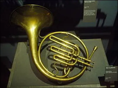 A quelle famille d'instruments le cor en fa appartient-il ?