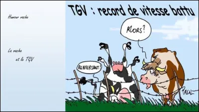 Pas besoin de chercher son origine, son nom en dit long, la vosgienne, taille moyenne, robe mouchetée noire !