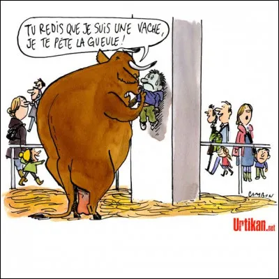 La betizu. Cette vache est un cas, et une exception, c'est la seule vache encore sauvage de France, elle vit dans les Pyrénées, ne ratez pas le lien qui suit votre réponse !