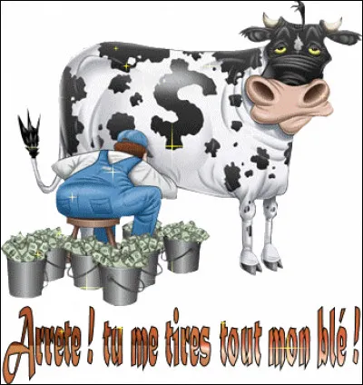 On l'appelle l'abondance, en Haute-Savoie !