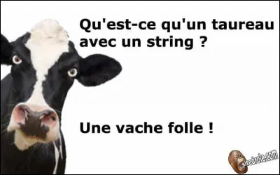 Les brunes comptent pas pour des prunes, surtout celle des Alpes !