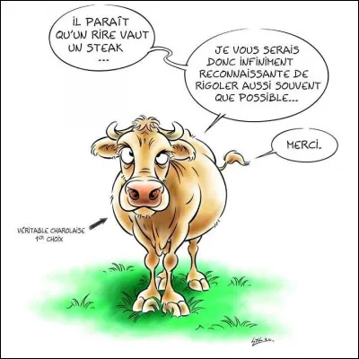 La jersiaise est anglo-normande, repérez-la ci-dessous !