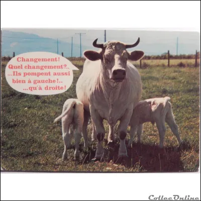 Non ce n'est pas une valse, c'est une vache, la tarentaise !