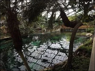 Sur la photo, vous pouvez voir :